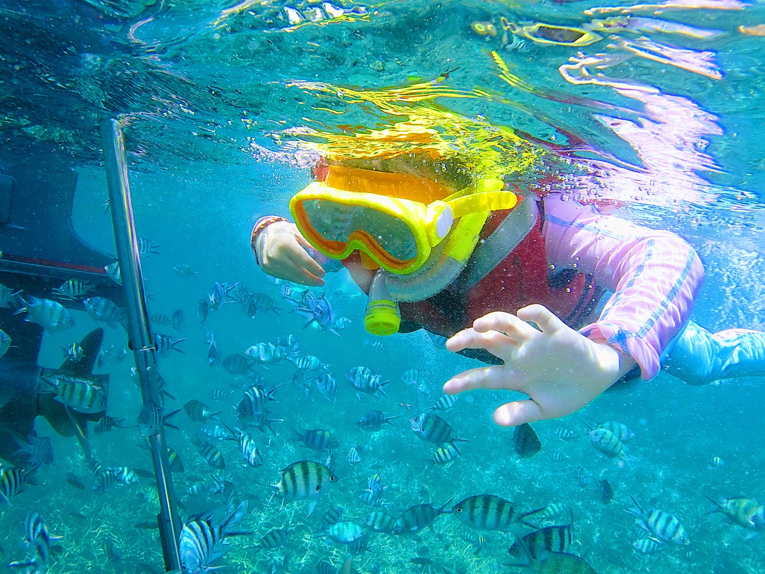 baby snorkelling