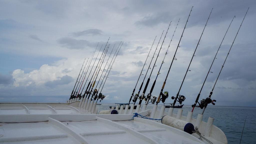 fishing rod