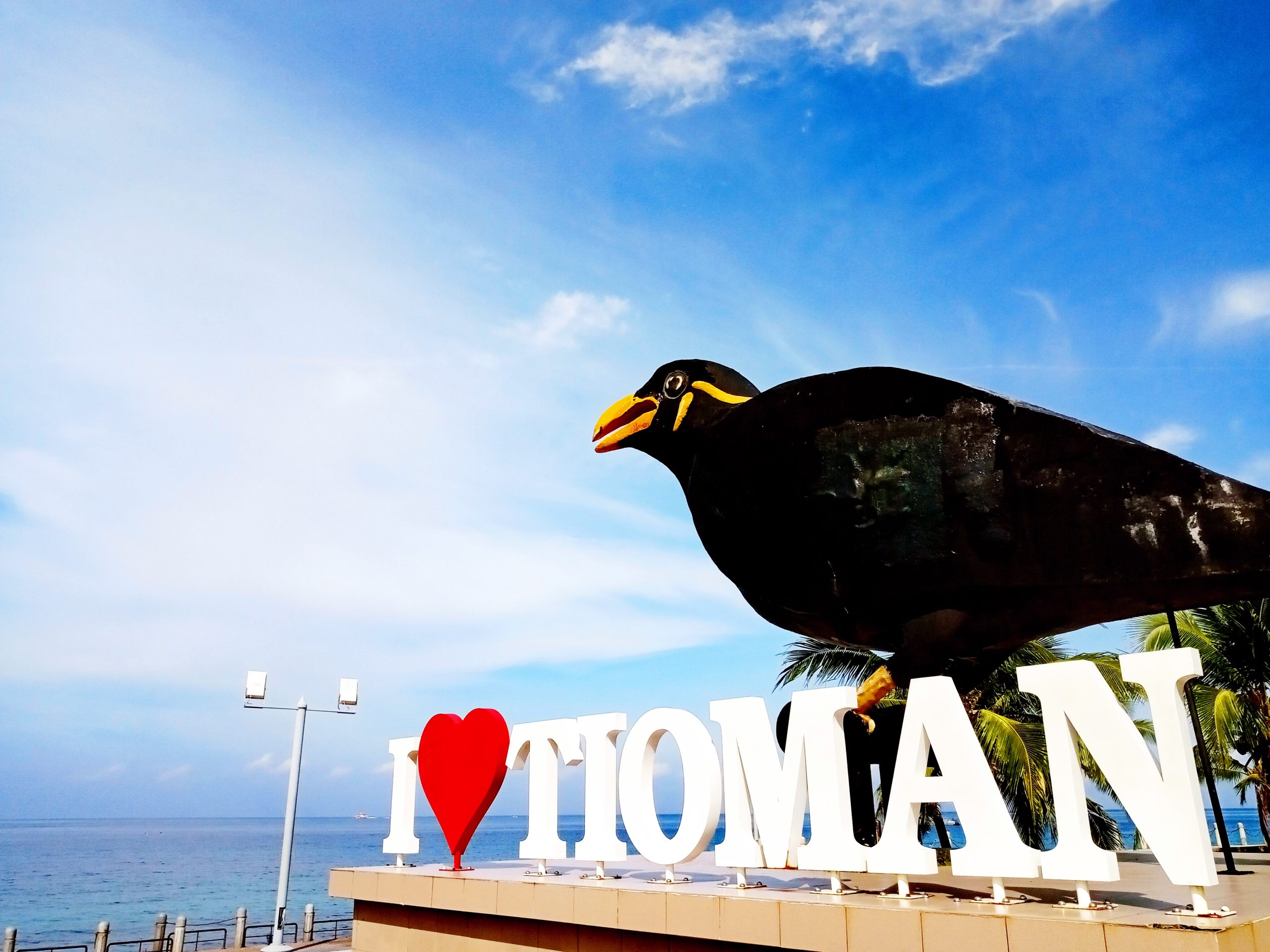 tioman island burung tiong